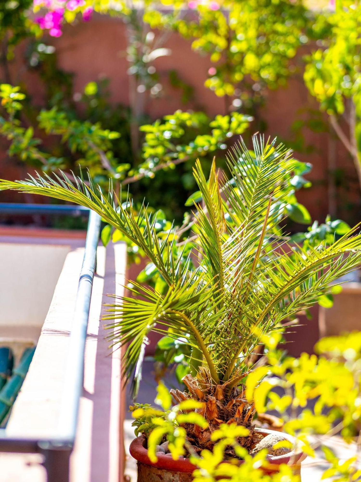 Riad L'Orange Bleue Marraquexe Exterior foto